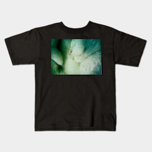 Snuggled Sleeping White Furball of Cat Kids T-Shirt